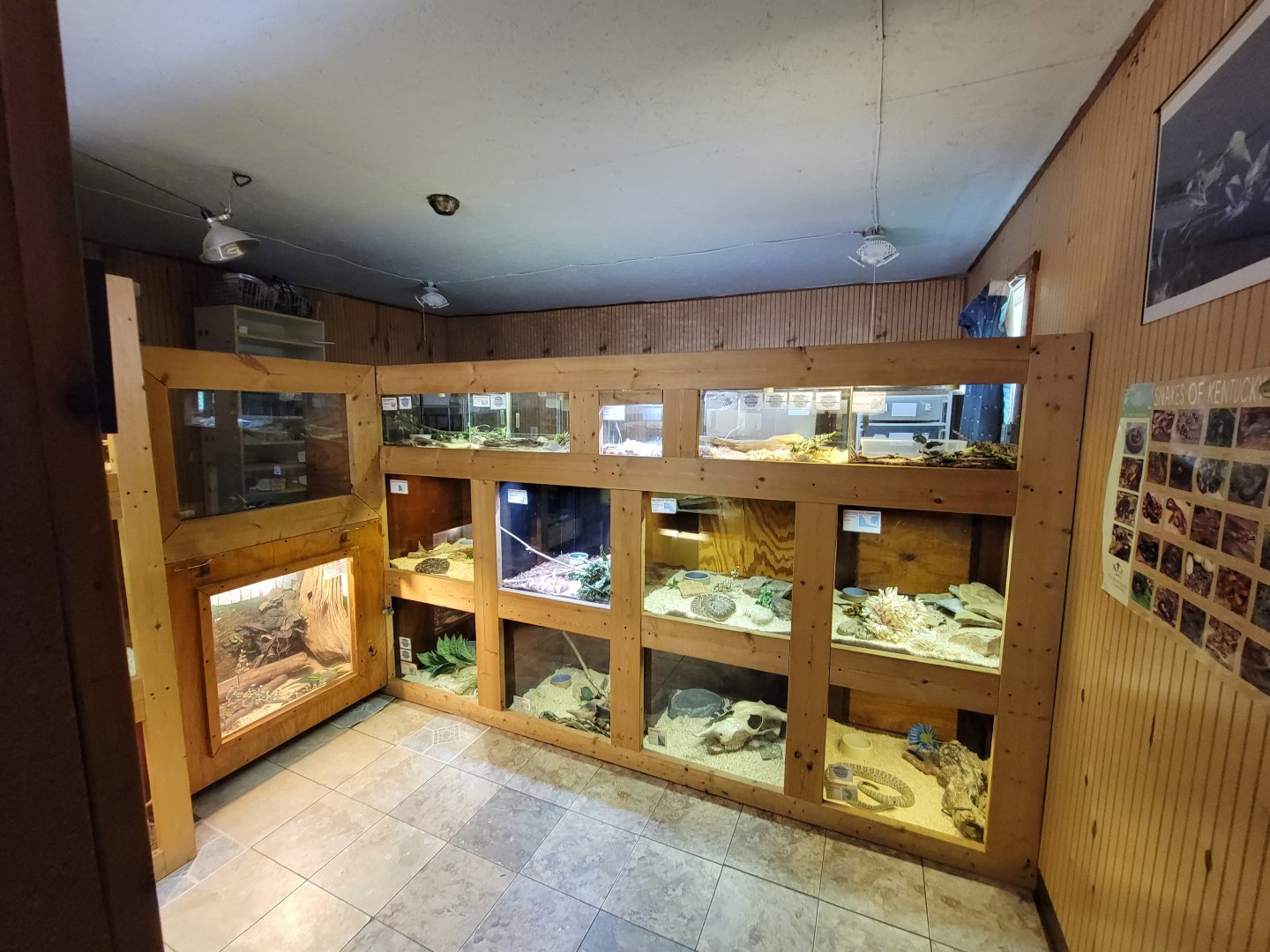 Kentucky Reptile Zoo - North America building