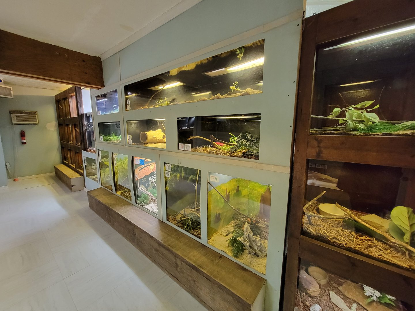 Kentucky Reptile Zoo - Tropics building