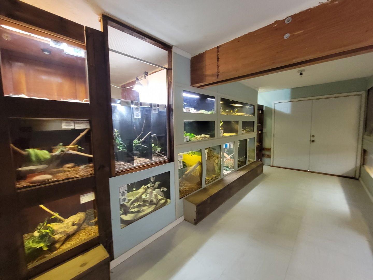 Kentucky Reptile Zoo - Tropics building