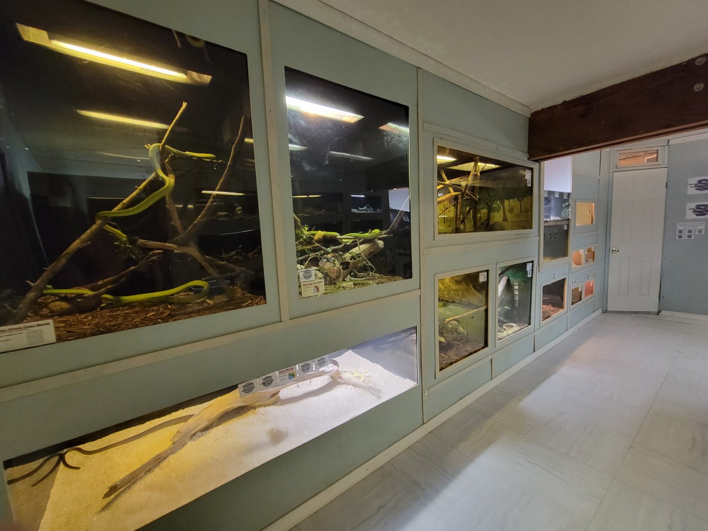 Kentucky Reptile Zoo - Tropics building