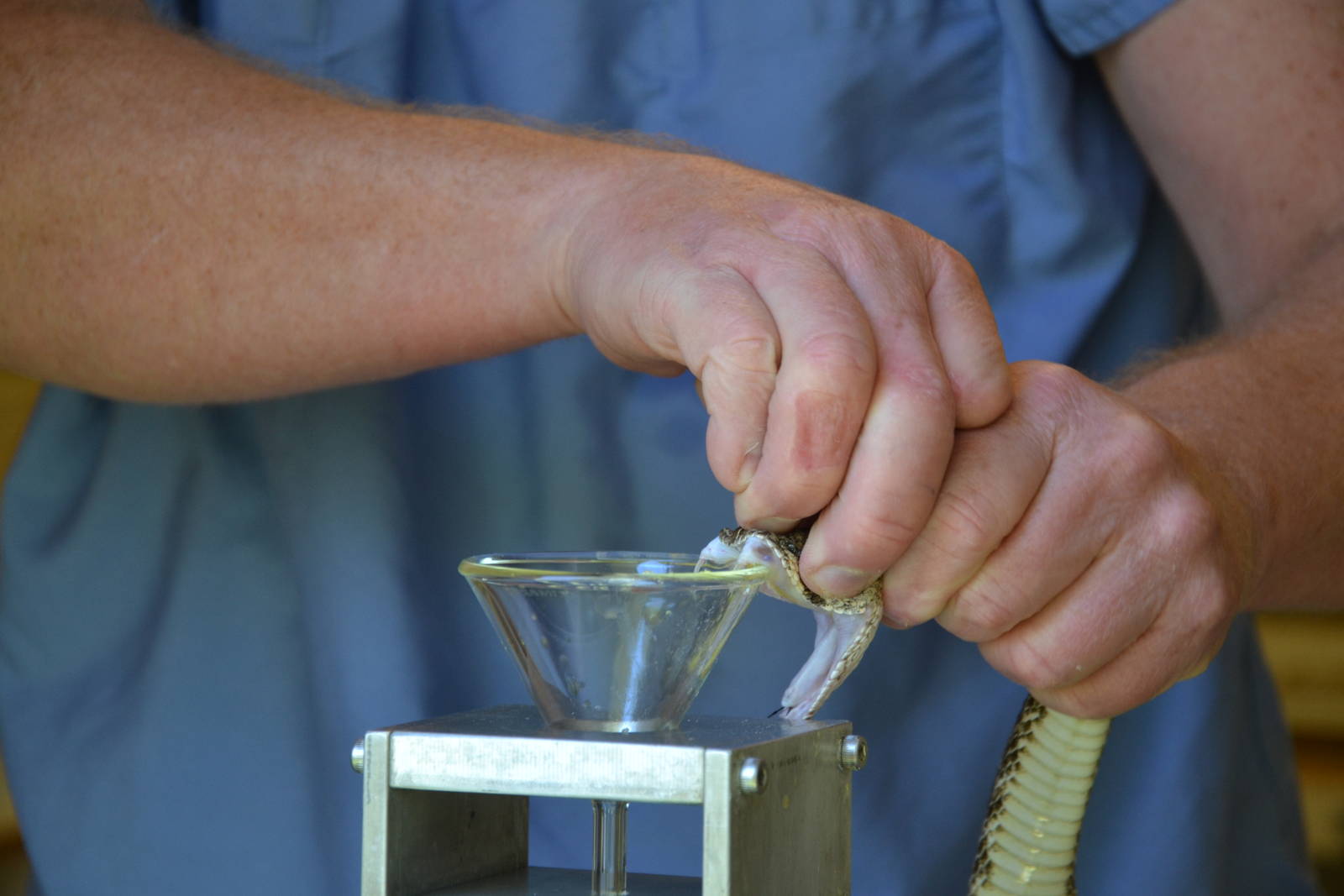 Kentucky Reptile Zoo