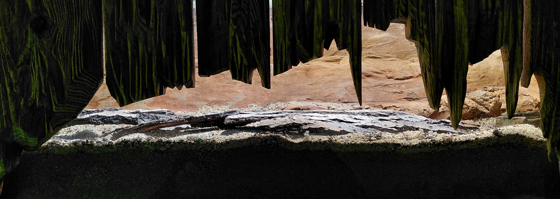 Kenya sand boa exhibit