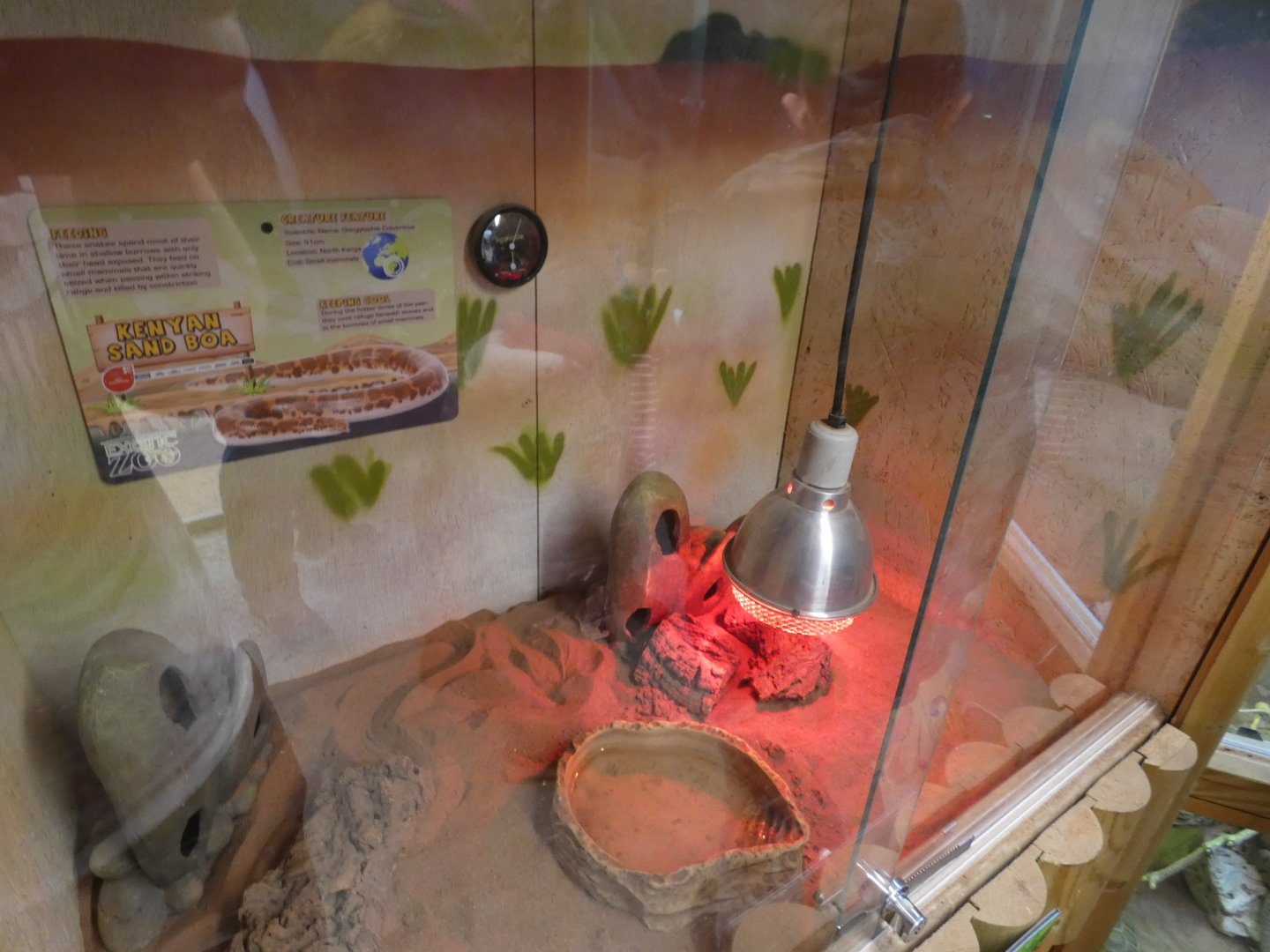 Kenyan Sand Boa enclosure