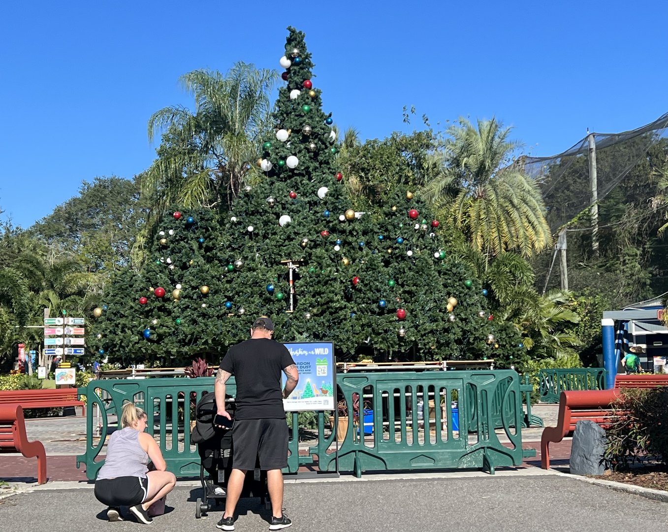 Kept forgetting the Holidays were approaching.