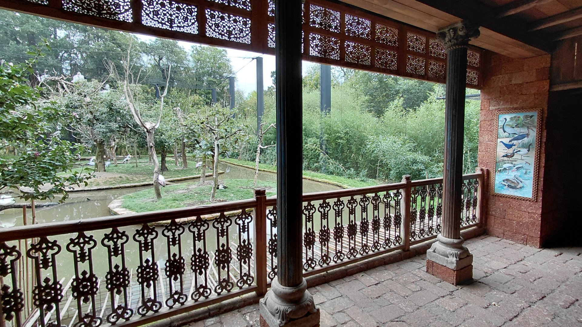 Kerala aviary - viewing area