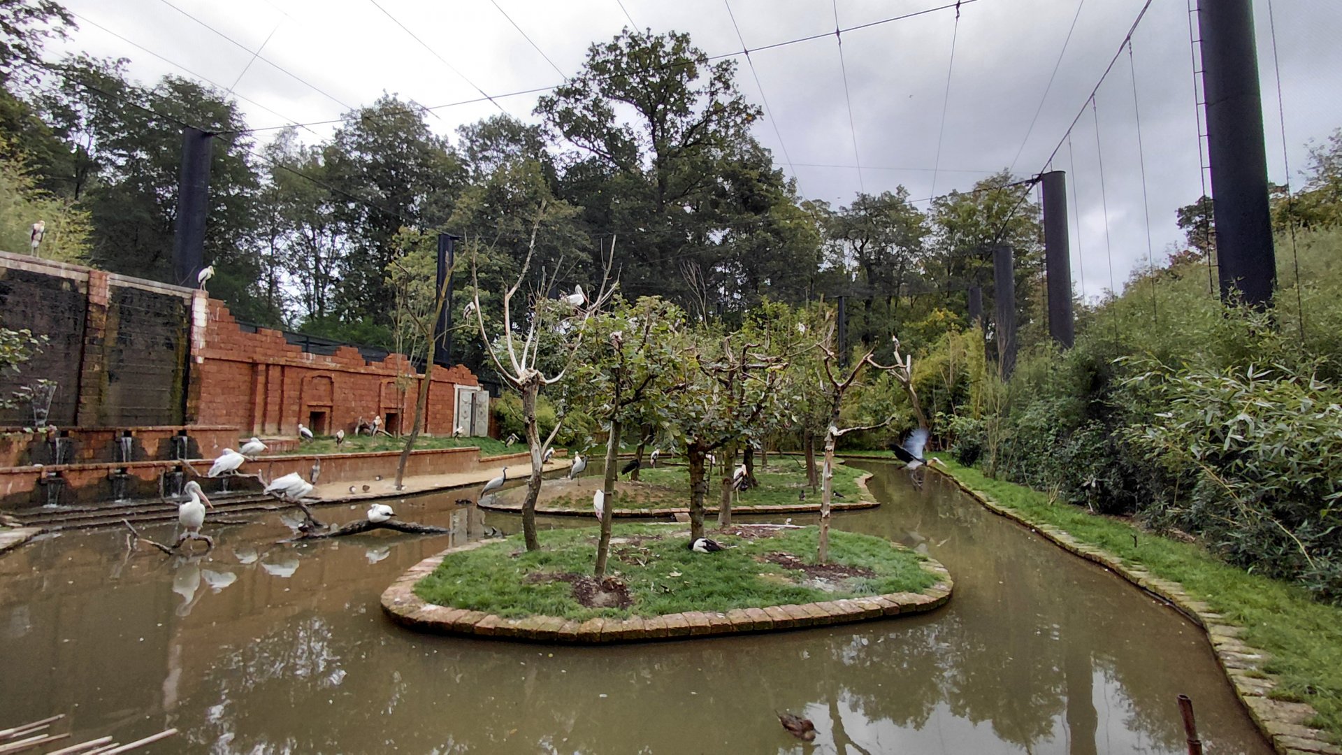 Kerala walk-in aviary