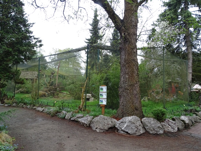 Kestrel / burrowing owl / prairie dog enclosure