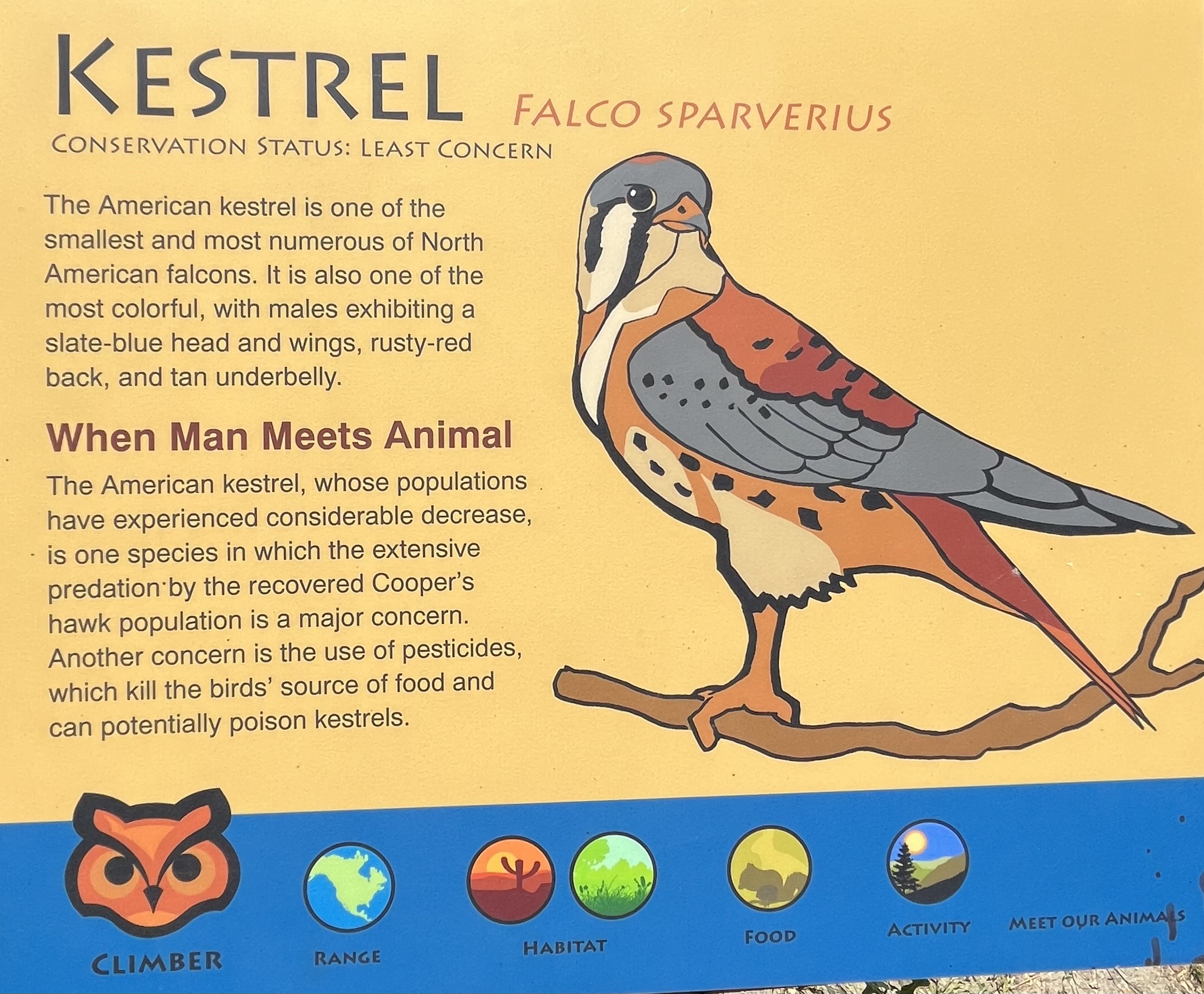 Kestrel - sign