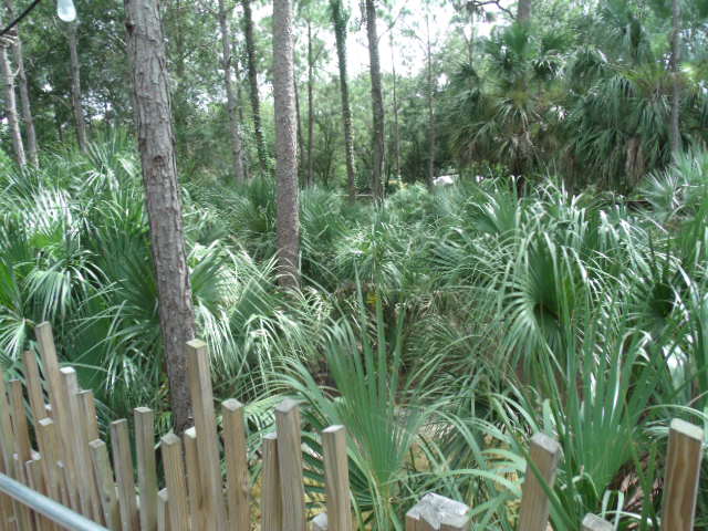 Key Deer/Whooping Crane Enclosure