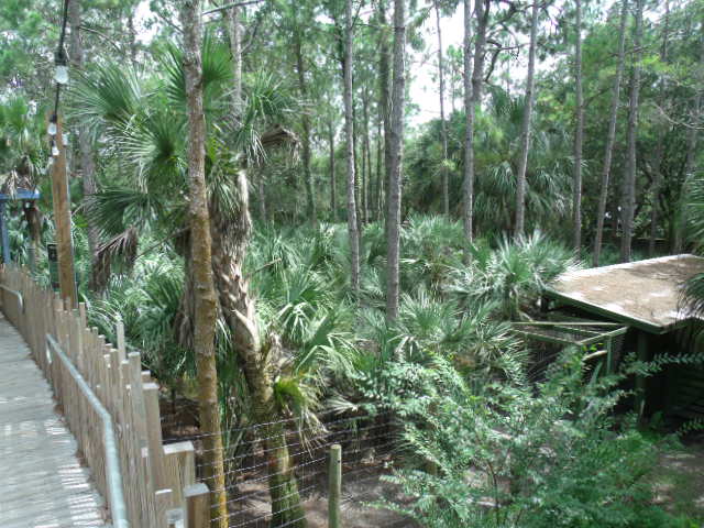 Key Deer/Whooping Crane Enclosure