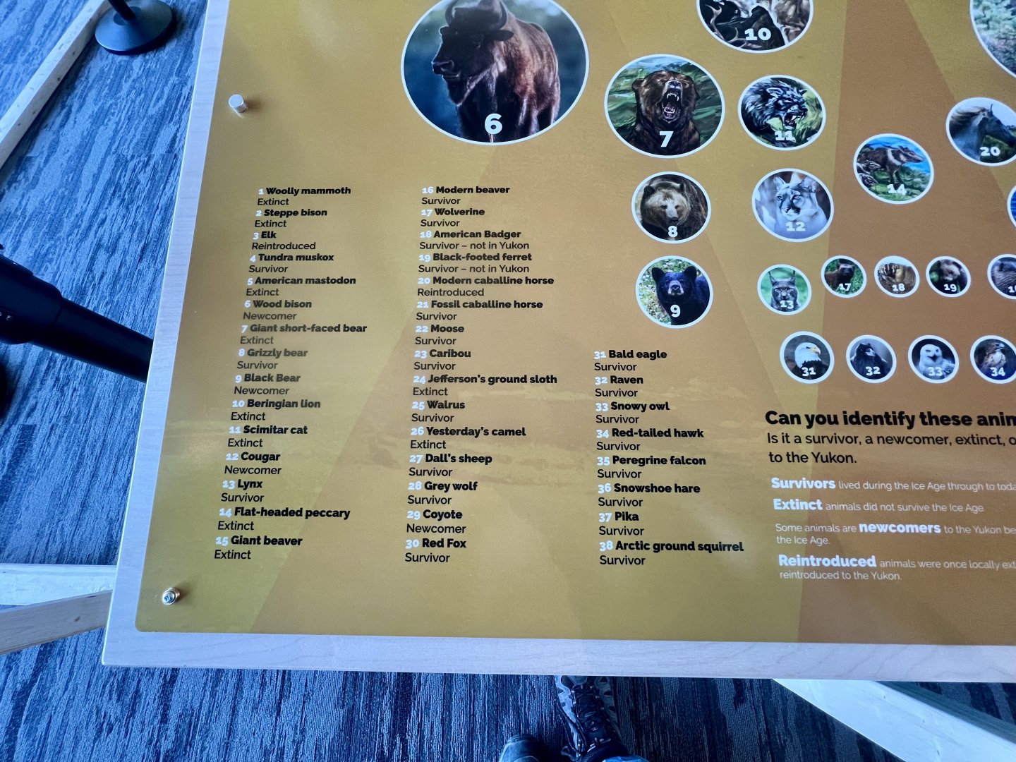 Key to the Wall of Skulls