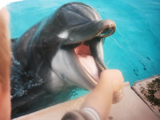 Key West at Sea World