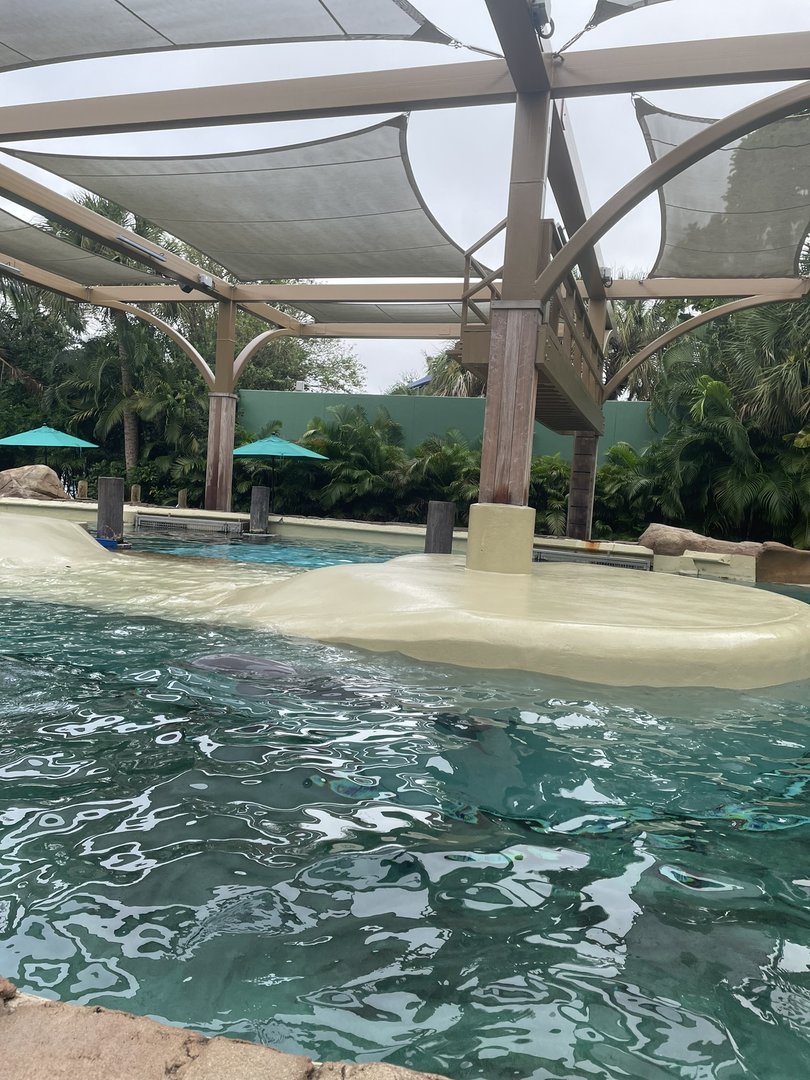 Key West- Dolphin Nursery