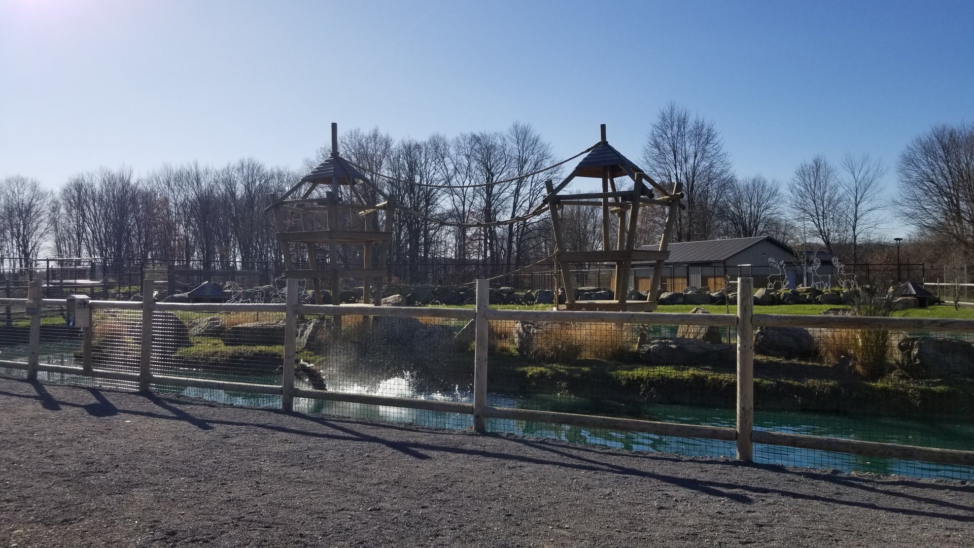 Keystone Safari - Black swan, empty primate island