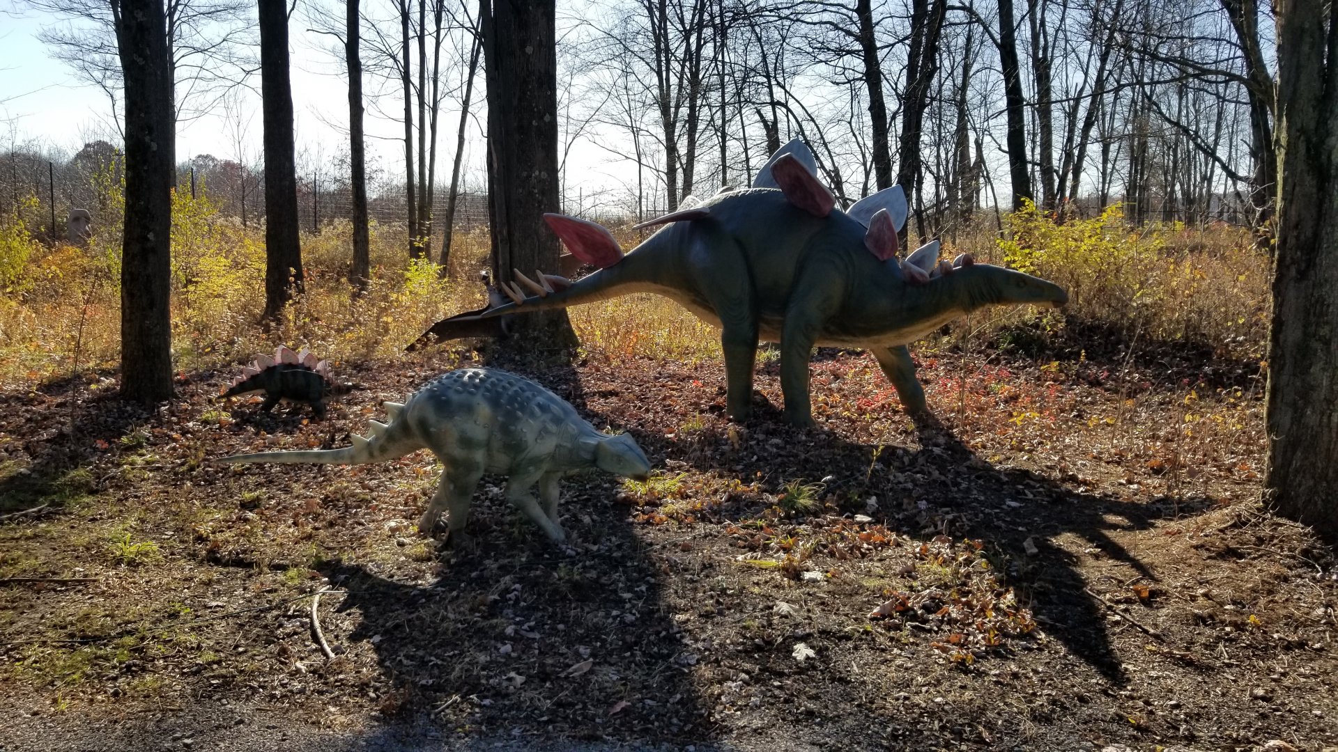 Keystone Safari - Dinosaurs