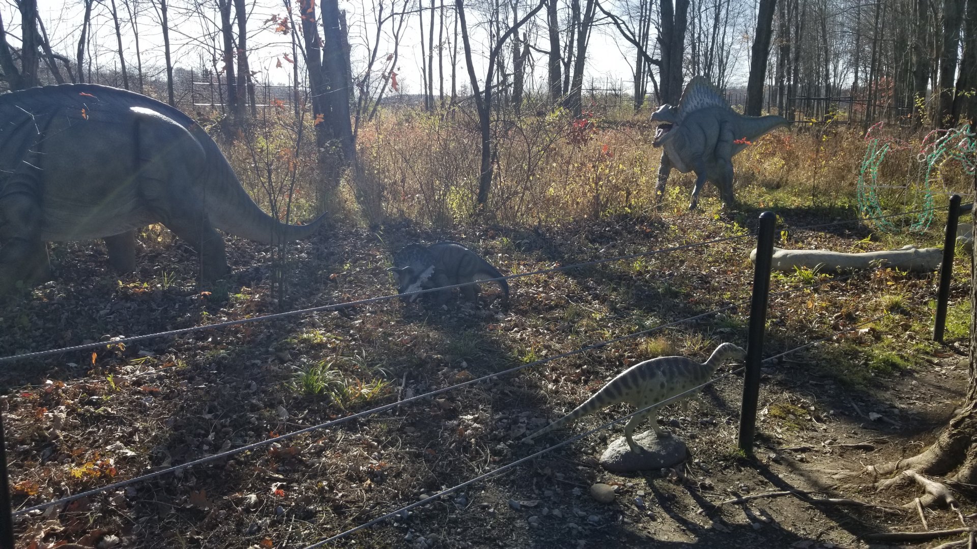 Keystone Safari - Dinosaurs