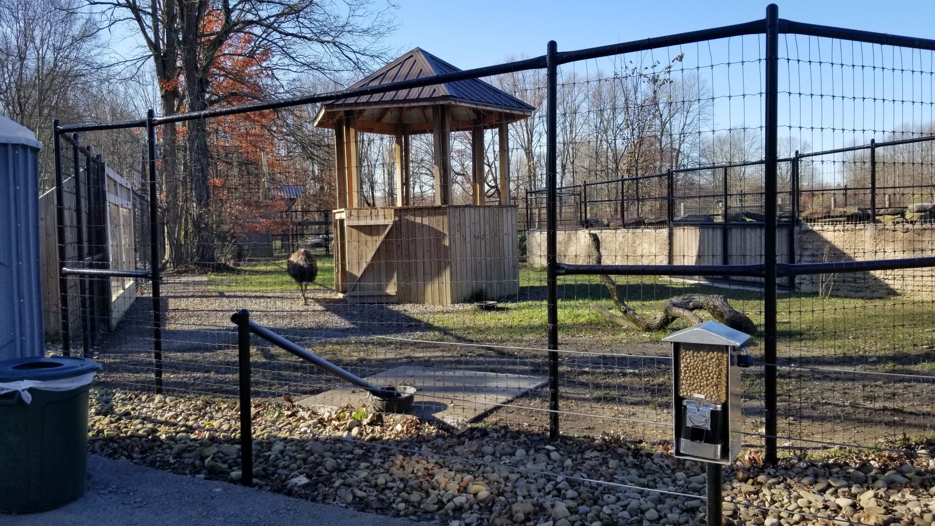 Keystone Safari - Emu