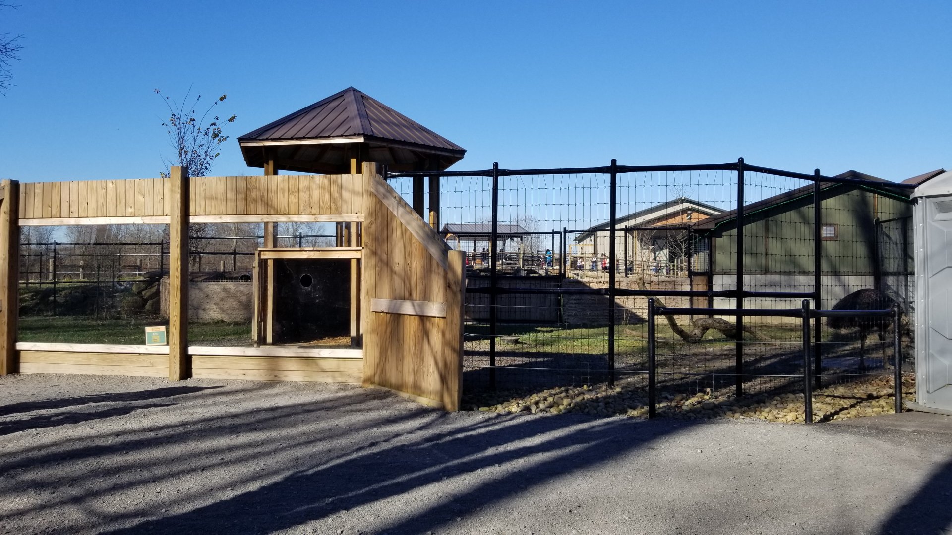 Keystone Safari - Emu