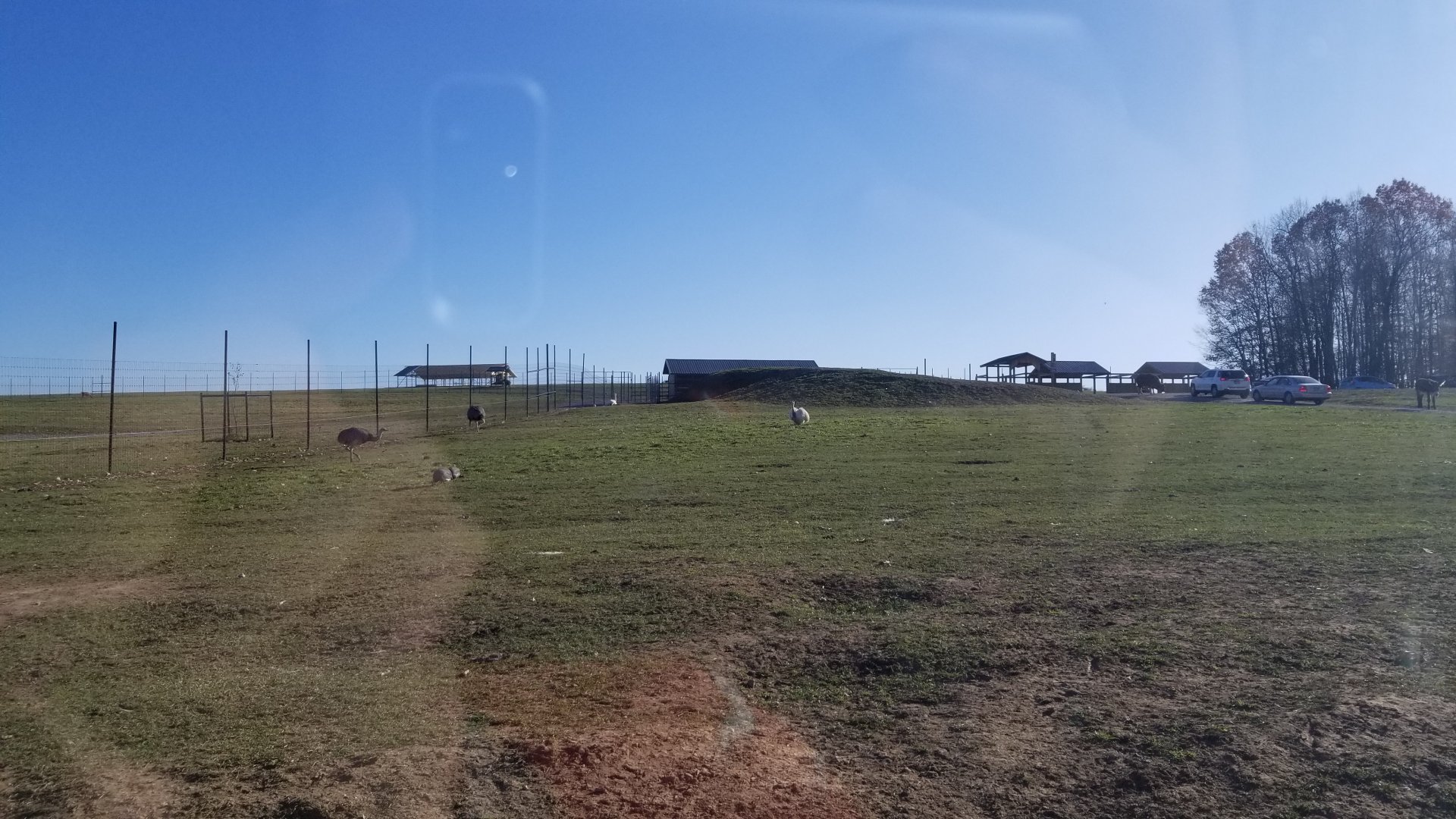 Keystone Safari - First safari yard