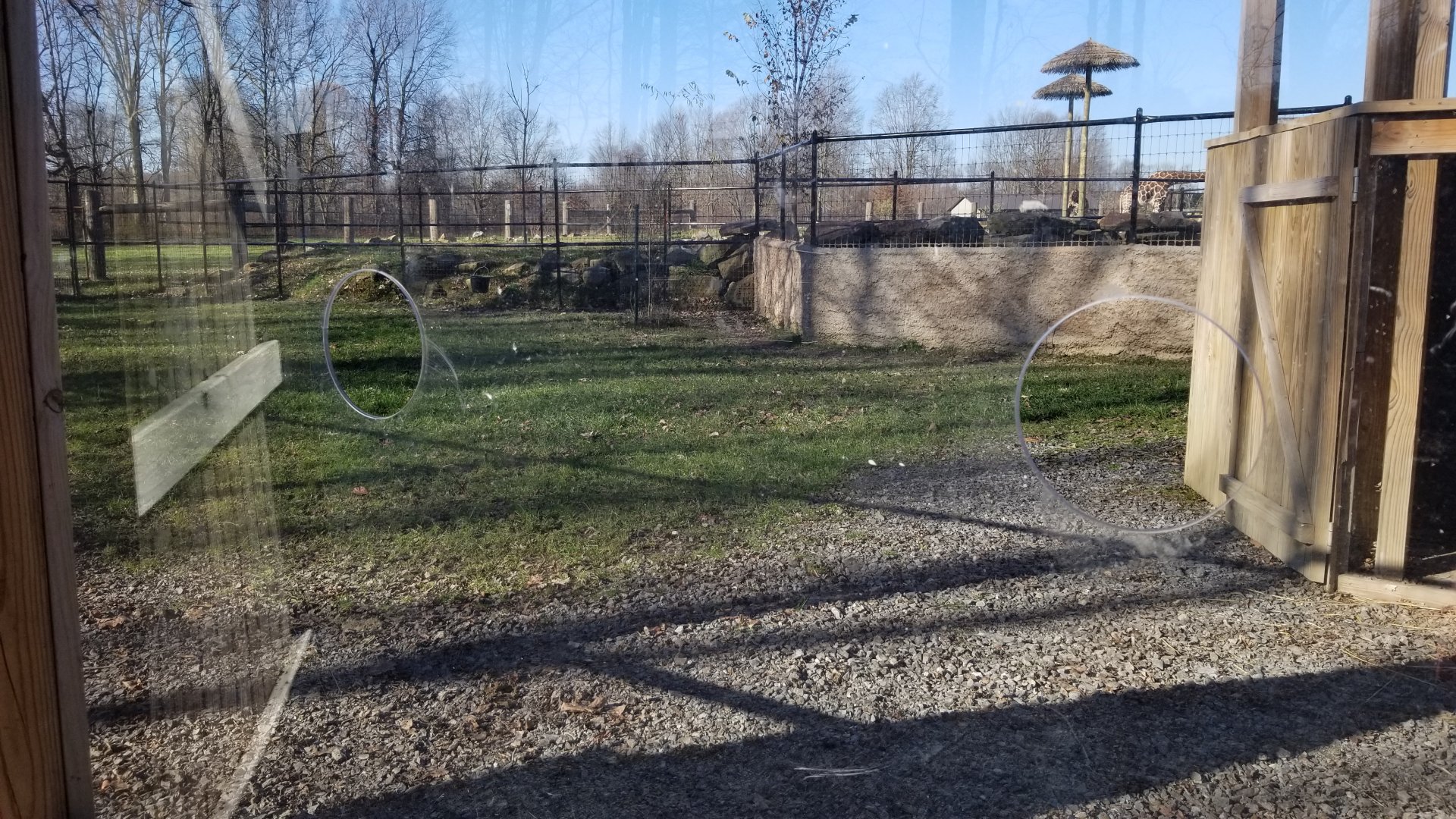 Keystone Safari - Holes in emu glass for feeding