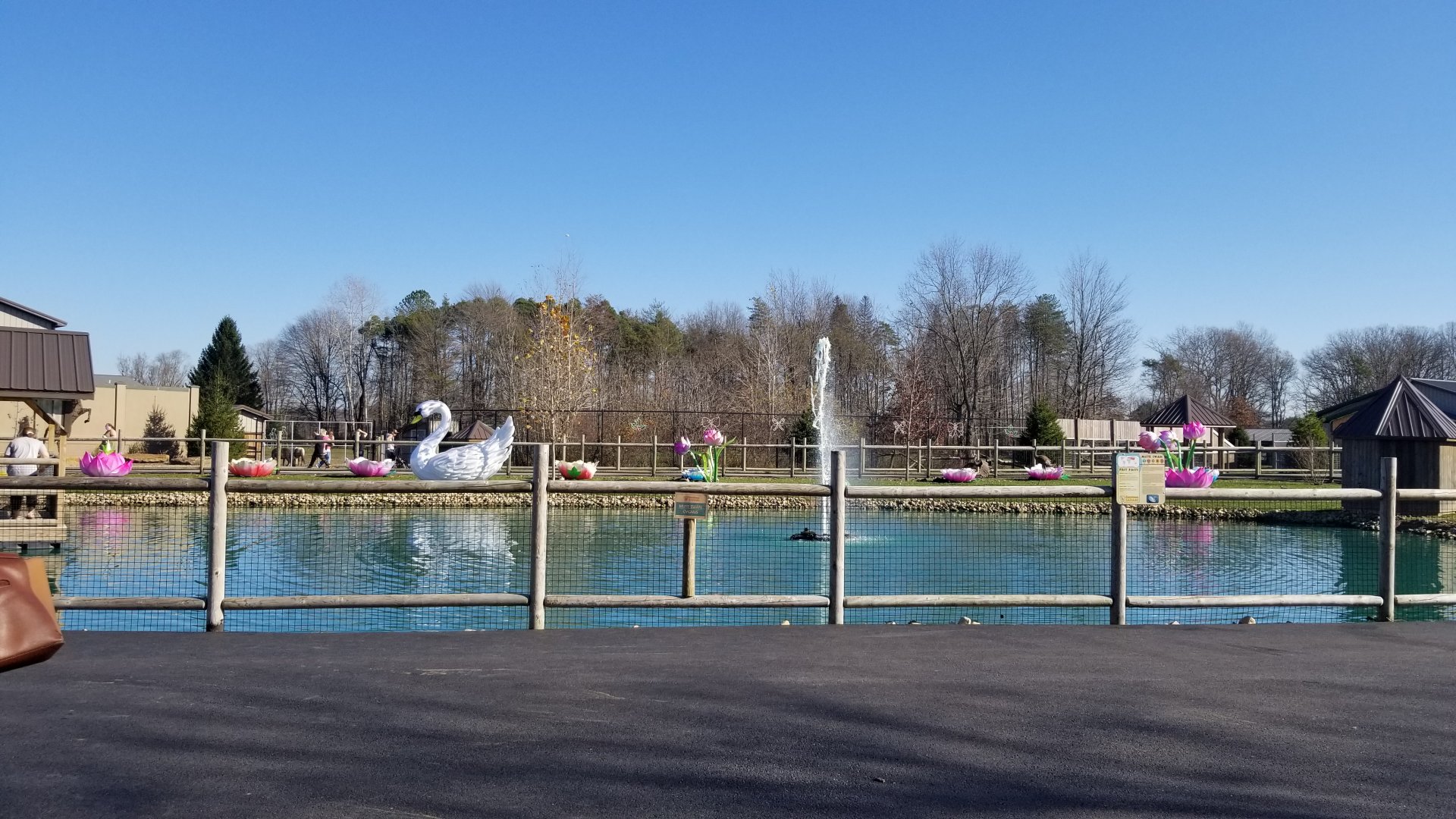 Keystone Safari - Inside entrance, mute swan lake