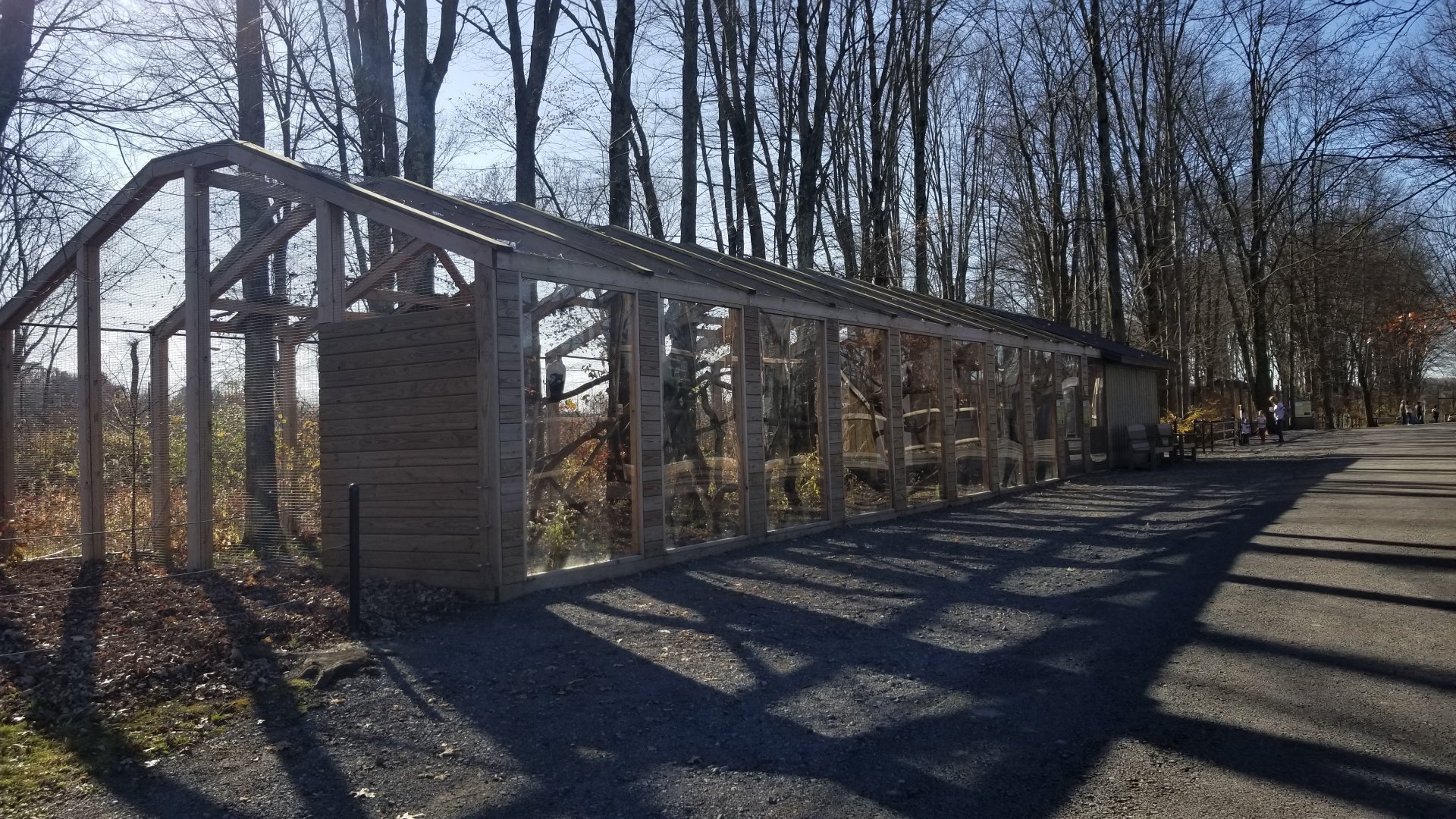 Keystone Safari - King Vulture, Toucan exhibit