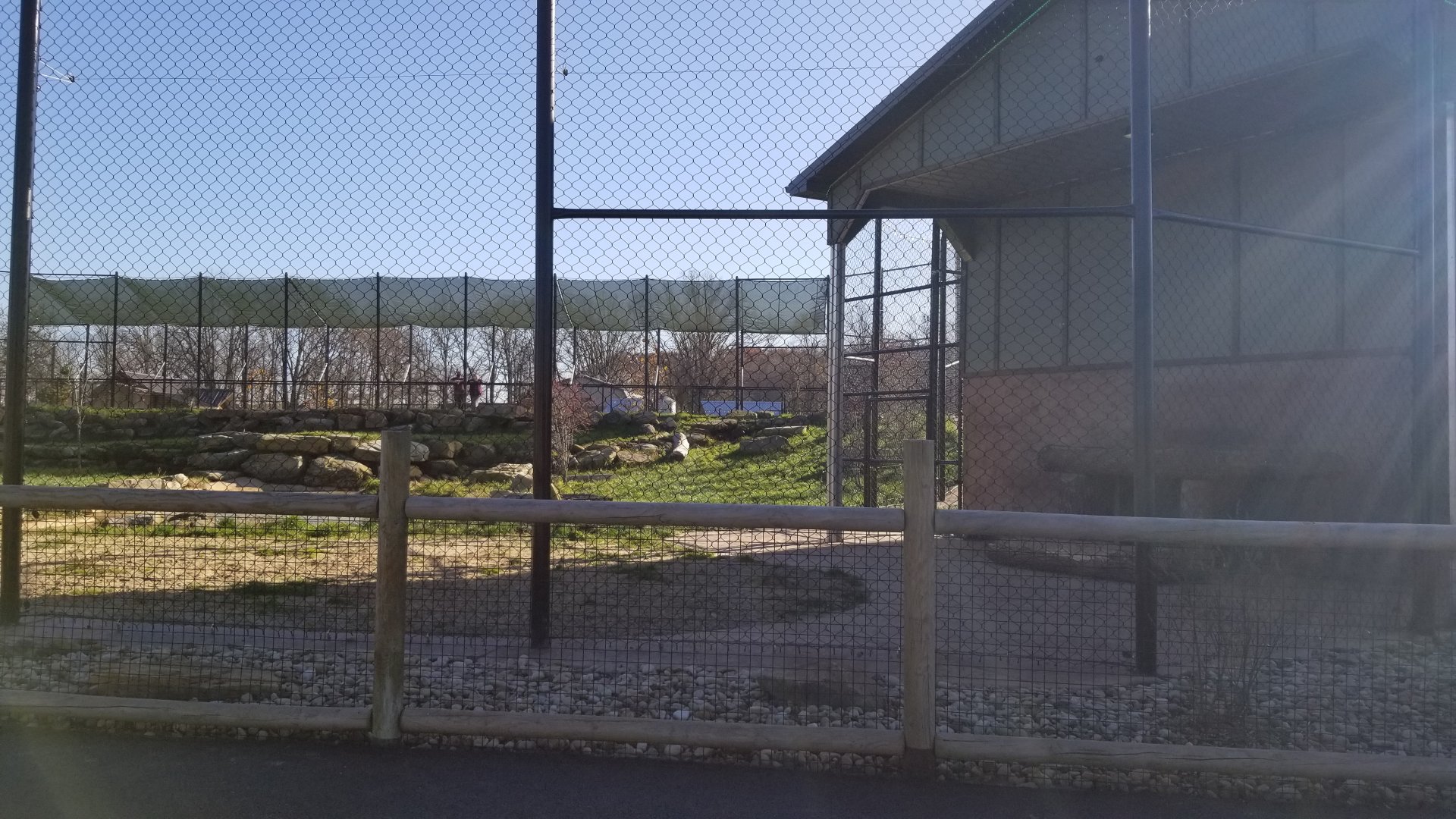 Keystone Safari - Lion exhibit, right