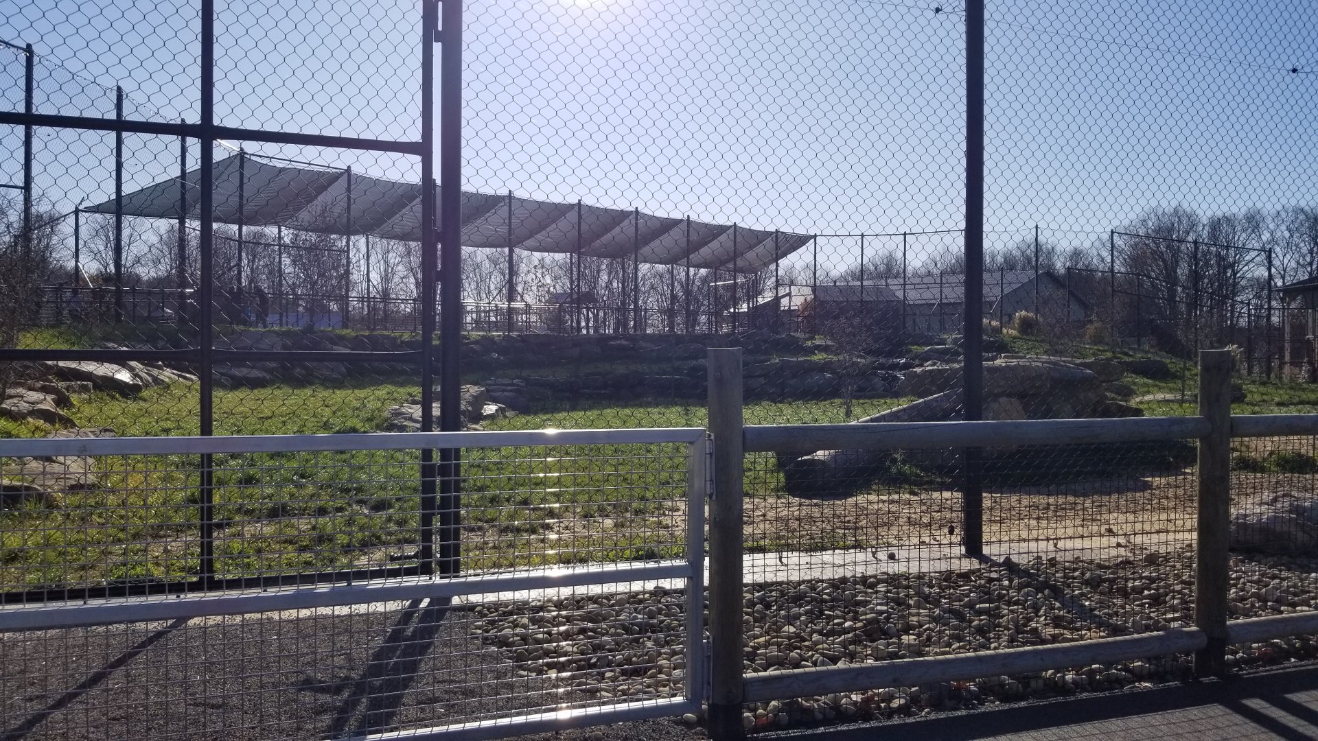 Keystone Safari - Lion exhibit