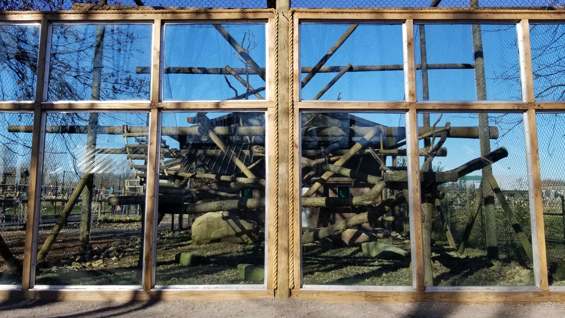 Keystone Safari - Mandrills front