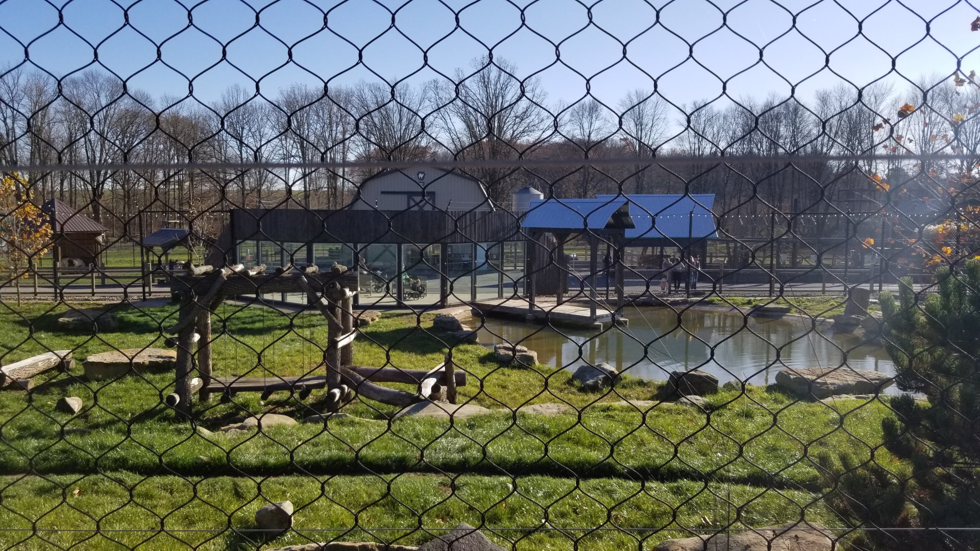 Keystone Safari - North american black bear