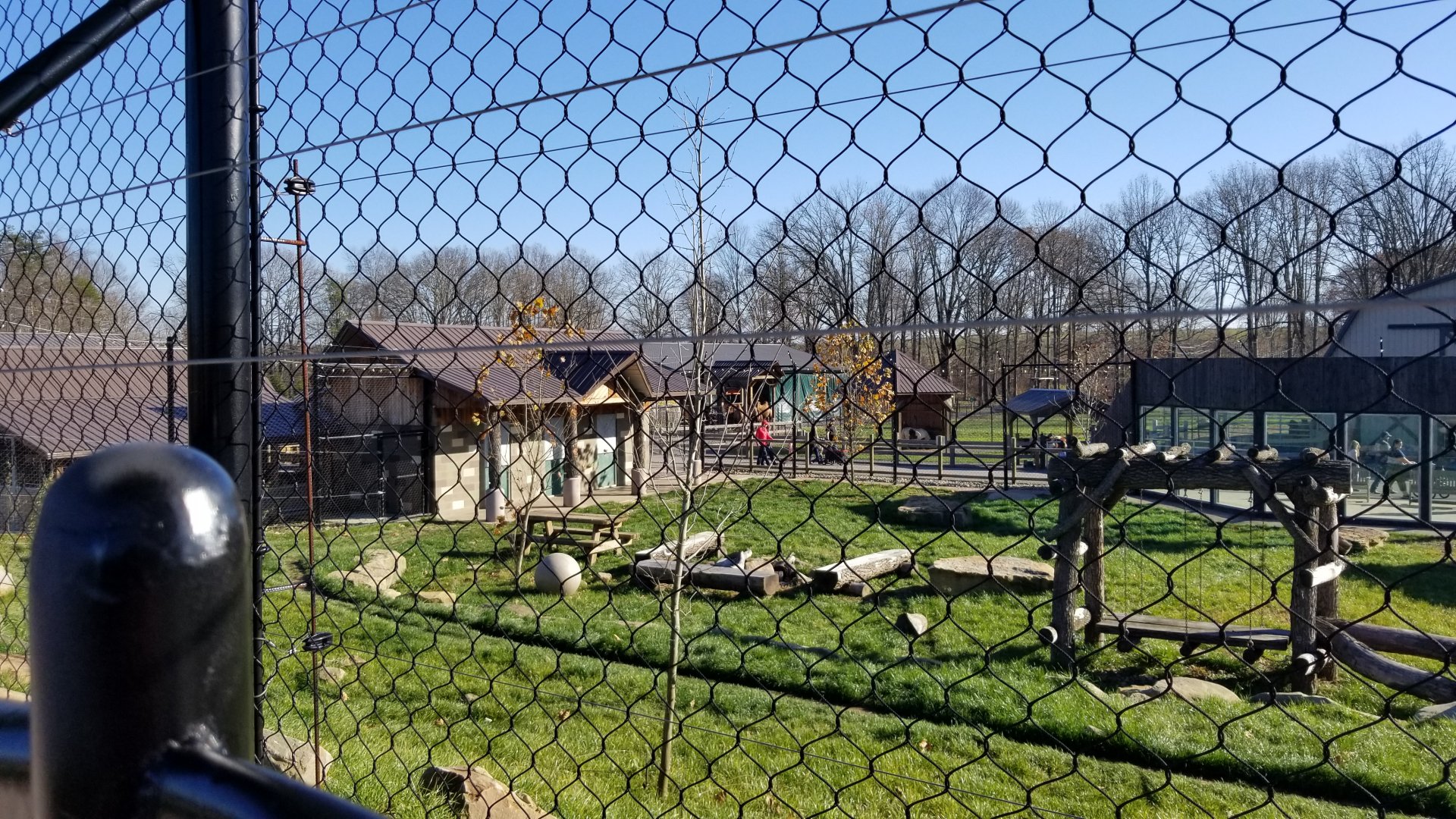 Keystone Safari - North american black bear