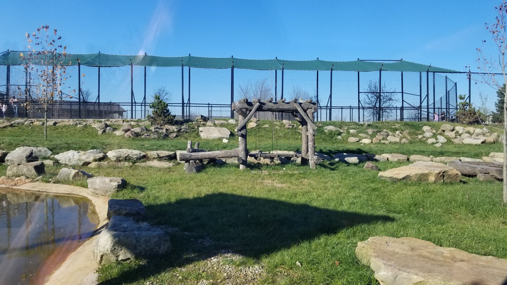 Keystone Safari - North american black bear