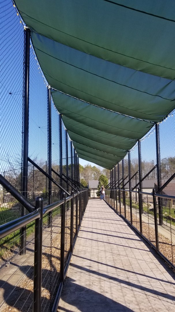 Keystone Safari - Path between top of lions and black bears