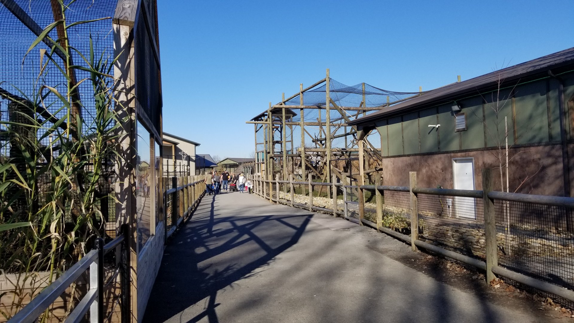 Keystone Safari - Pathway