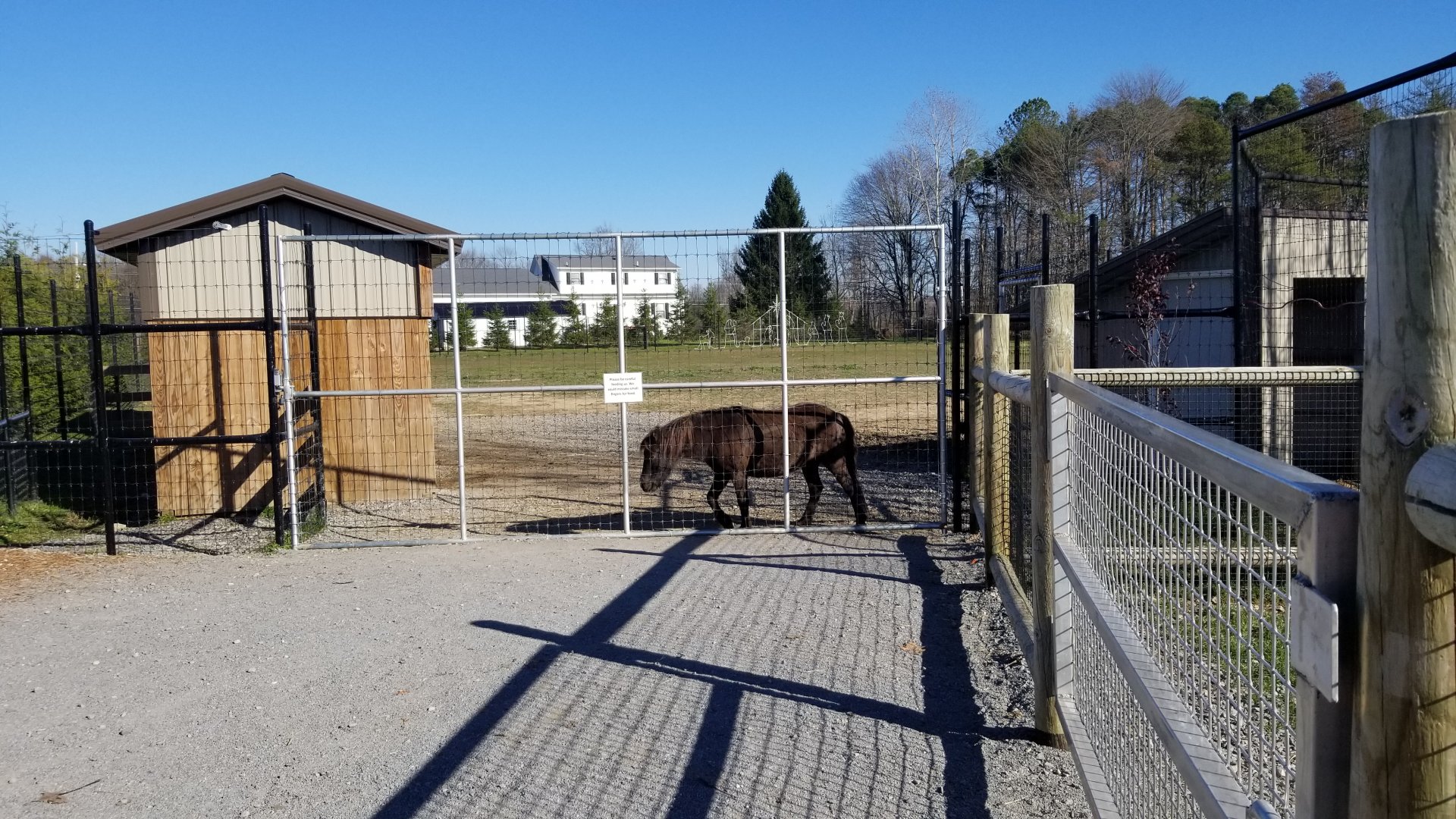 Keystone Safari - Pony