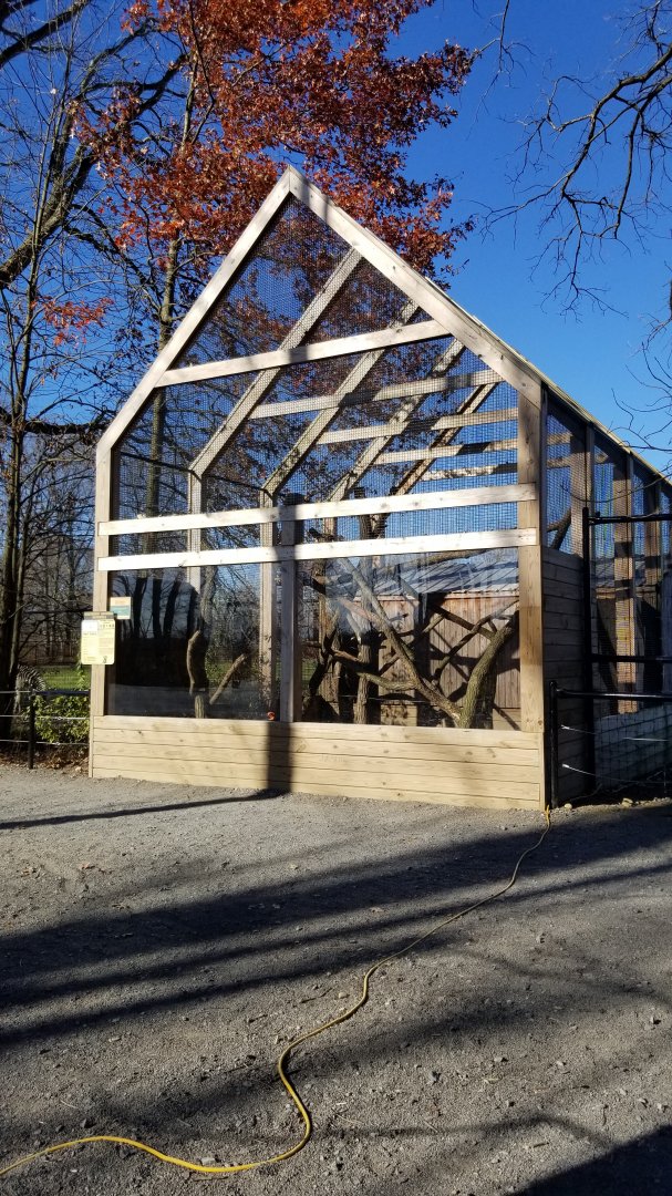 Keystone Safari - Southern ground hornbill exhibit