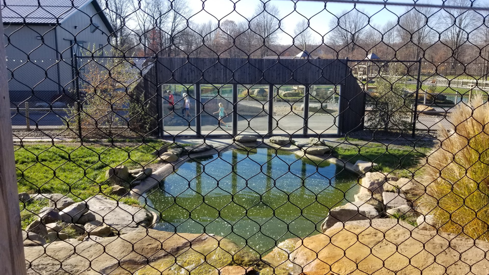 Keystone Safari - Spotted hyena pool from above