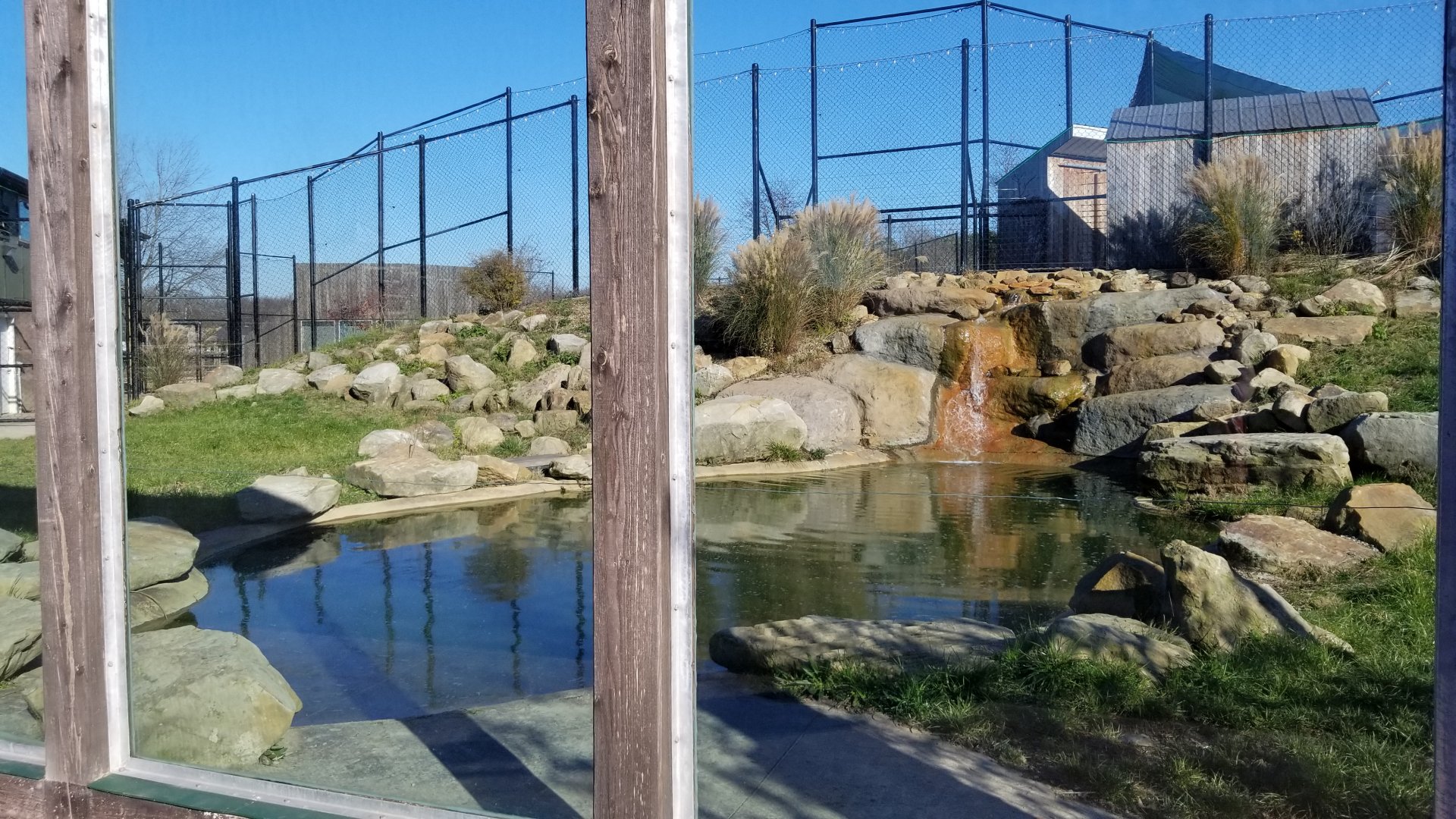Keystone Safari - Spotted hyena pool