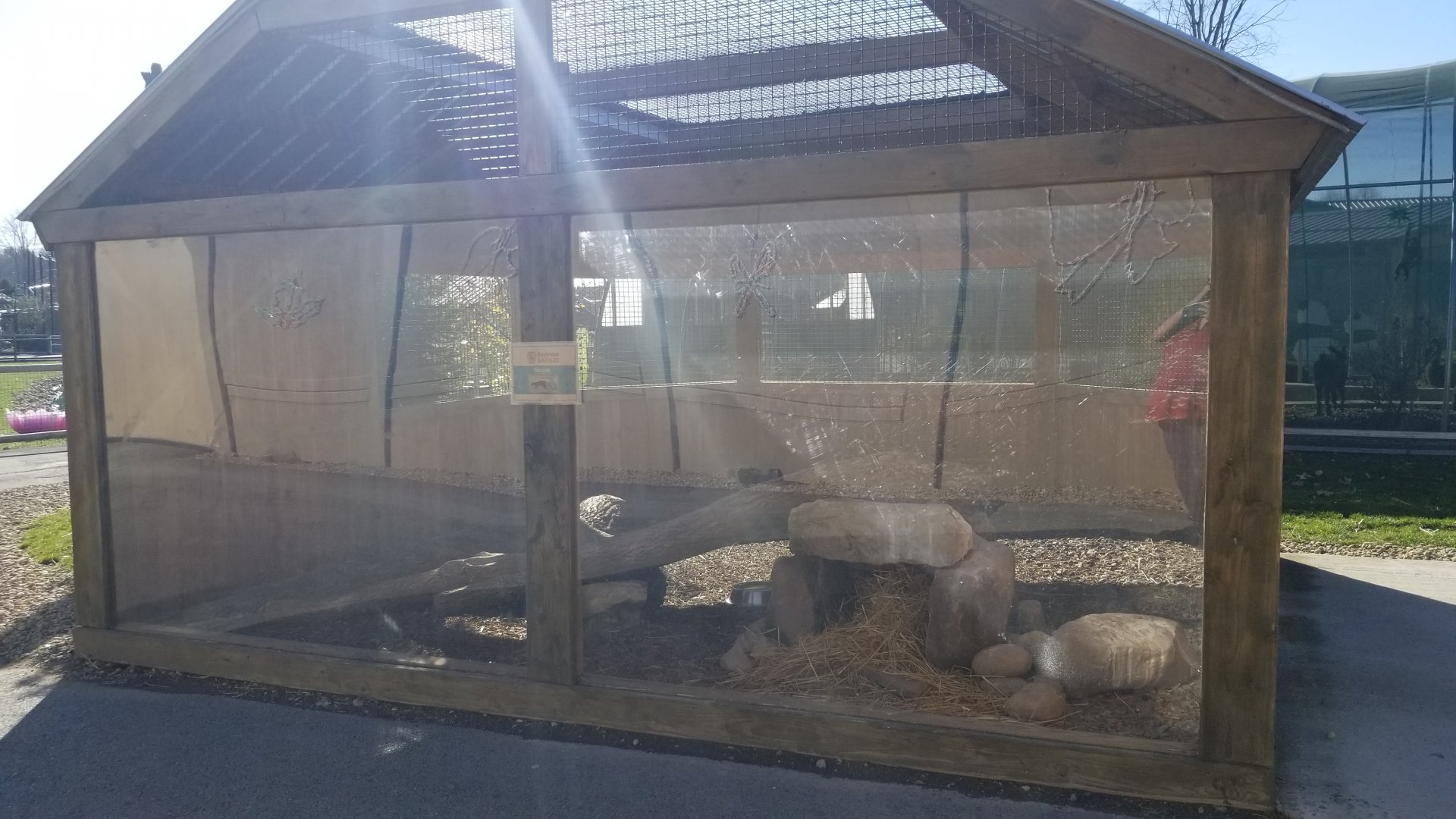 Keystone Safari - Striped skunk exhibit