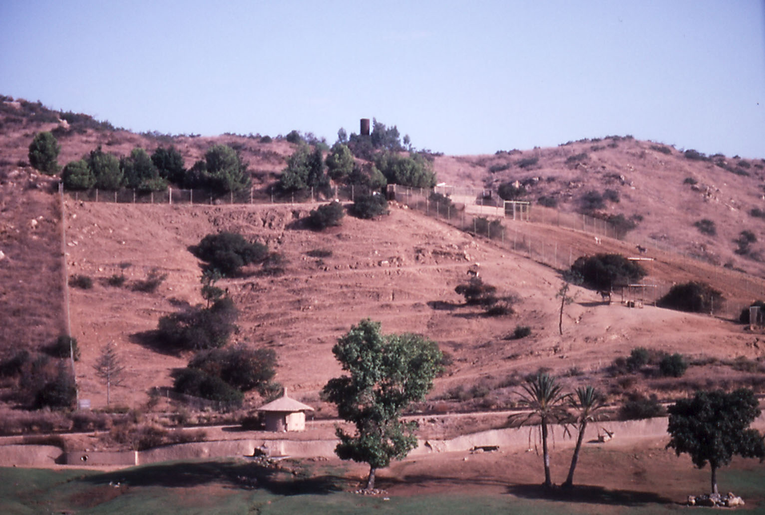 Kiang enclosure - 1992