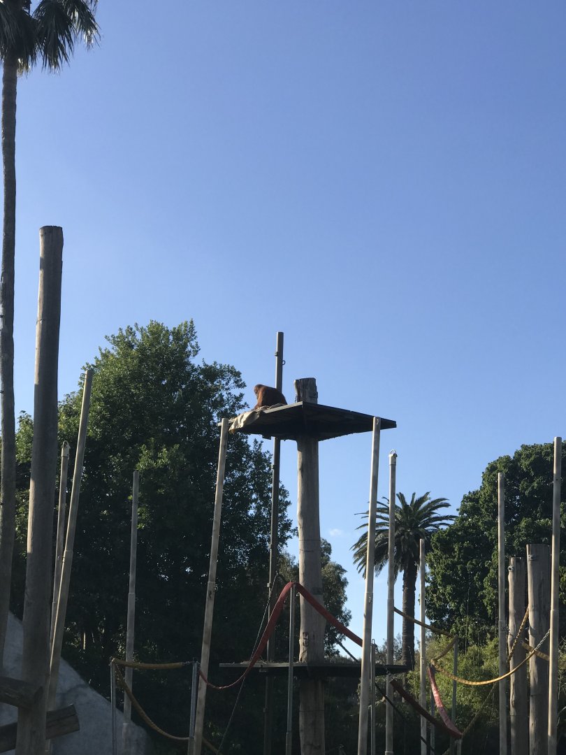 Kiani enjoying her view