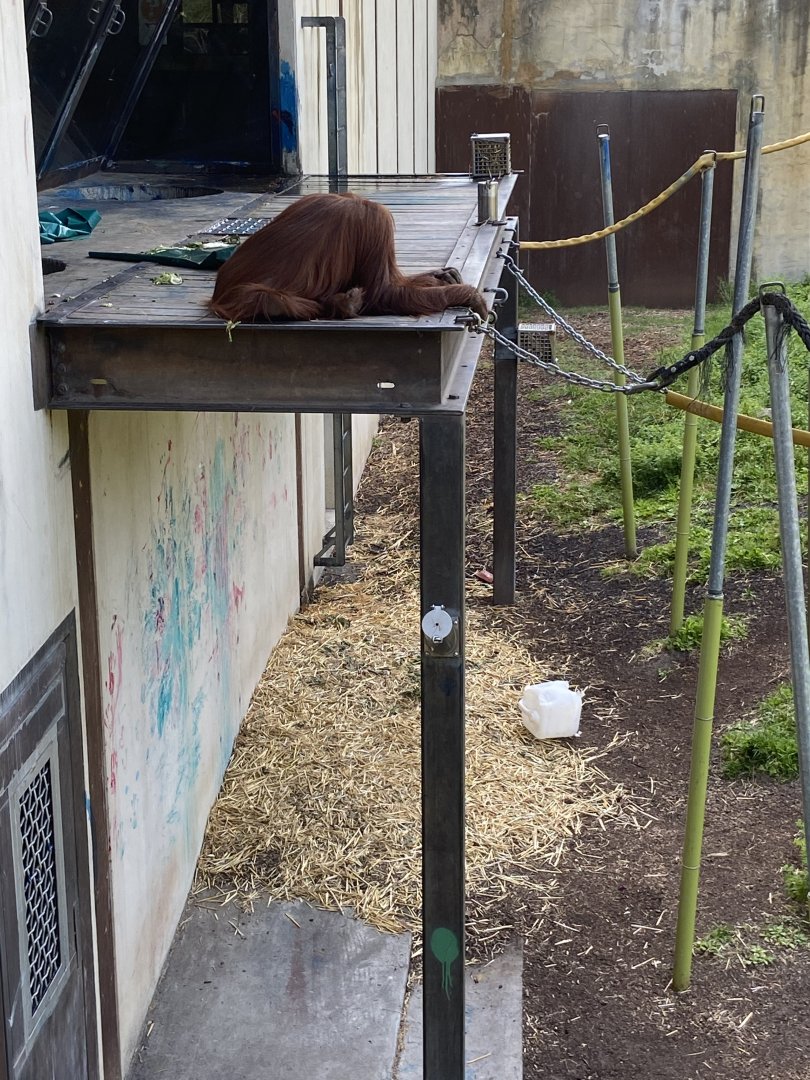 Kiani observes her surroundings