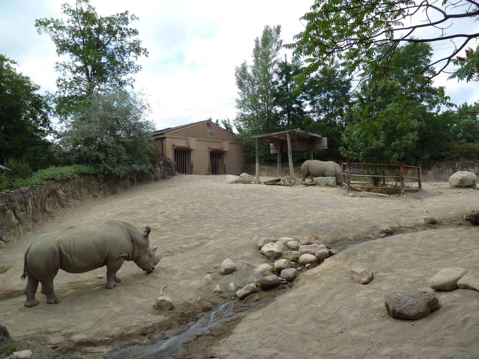 Kiboka Outpost - White Rhino Exhibit
