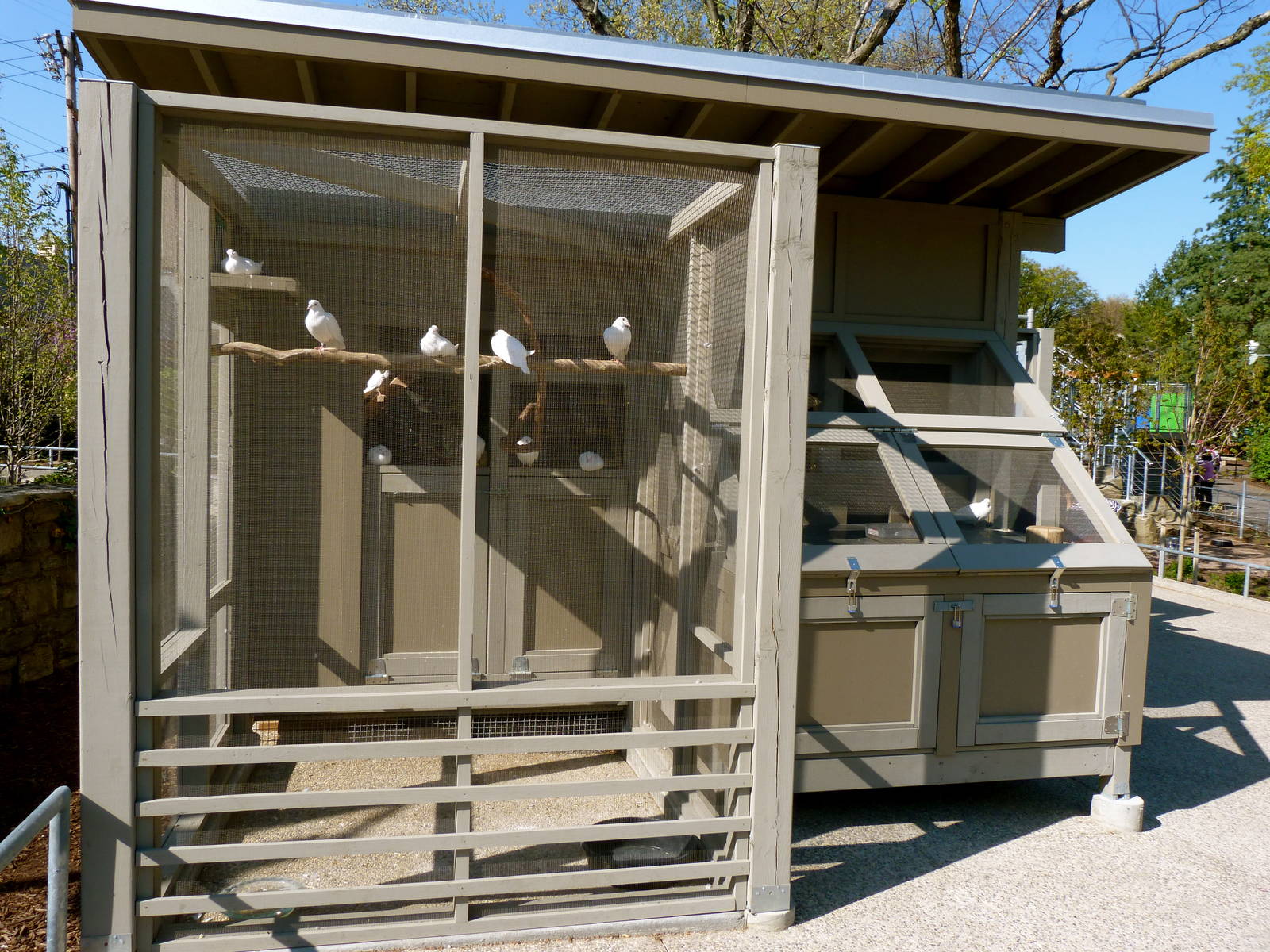 Kid Zoo U: Pigeon Exhibit