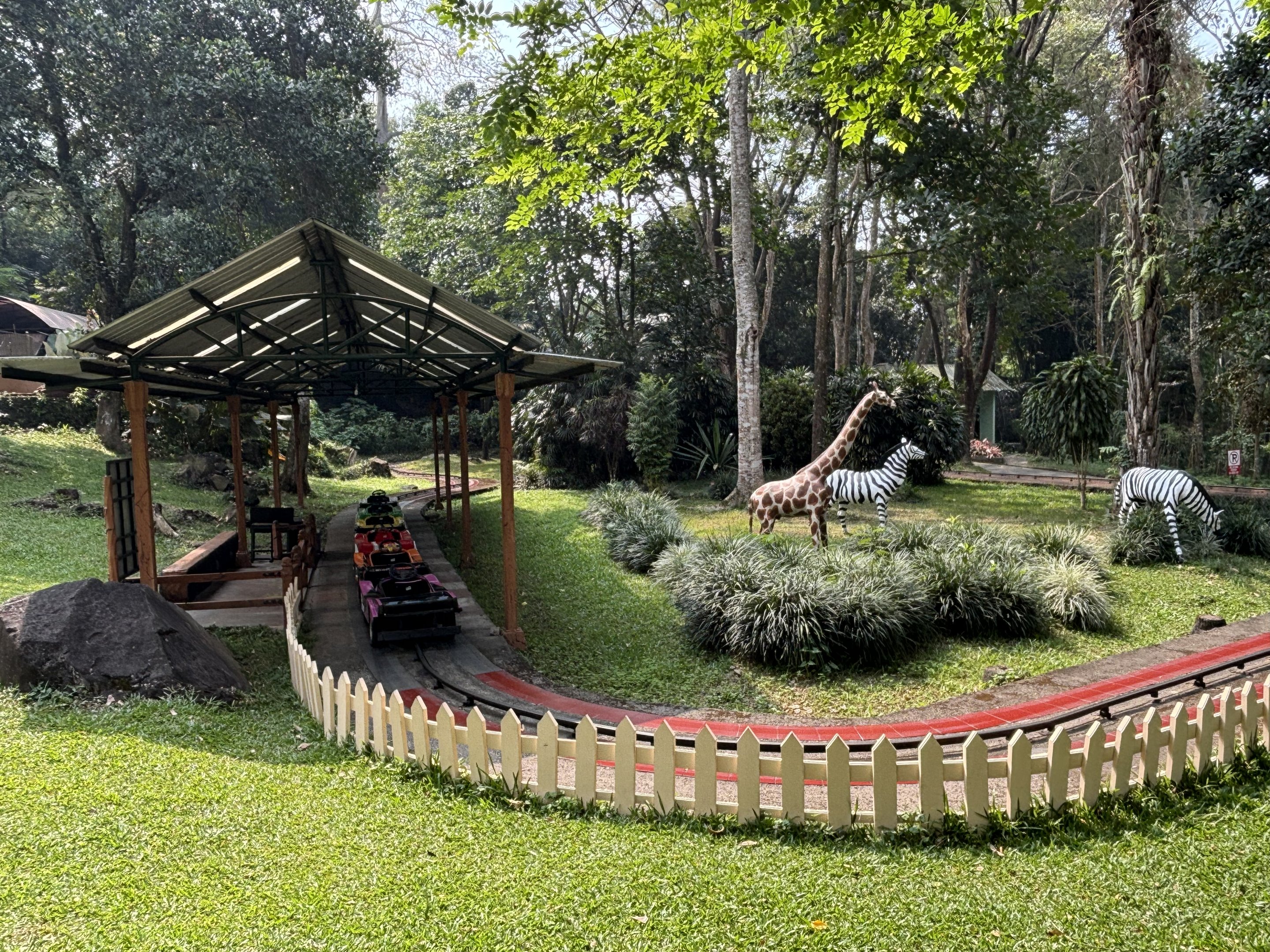 Kiddie Ride + Savanna Animal Statues