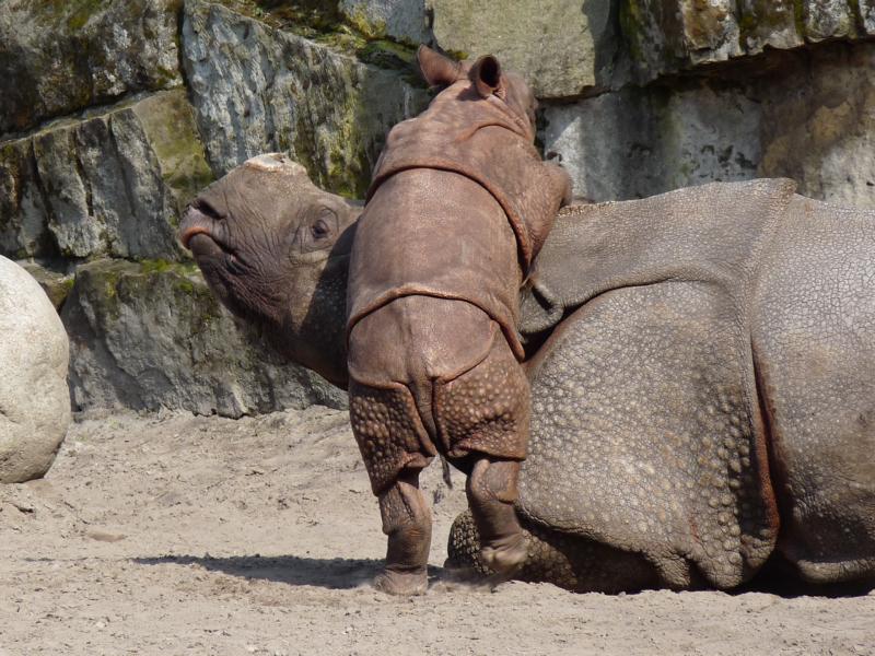 Kids can be a Punishment...