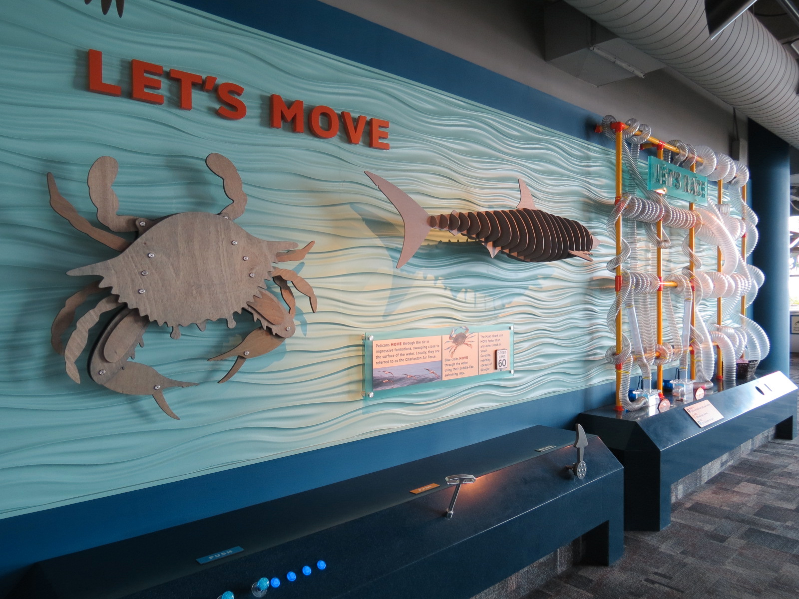 Kids Coast - Play Area