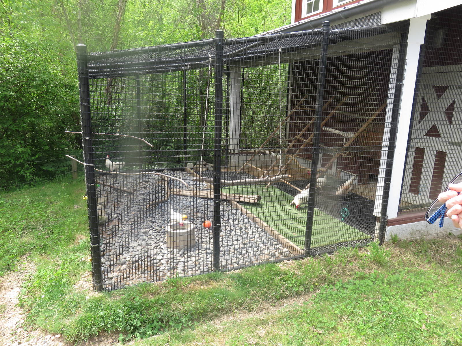Kids Farm - Chicken Coop