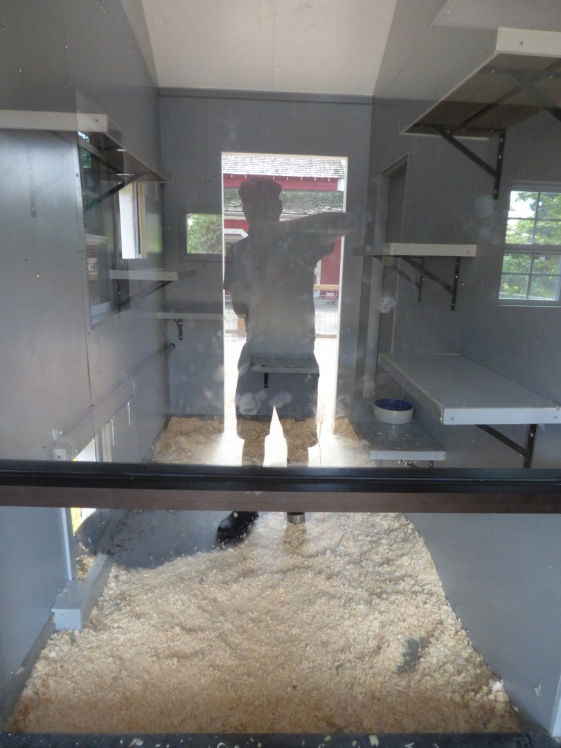 Kids Farm - Indoor Binturong Exhibit