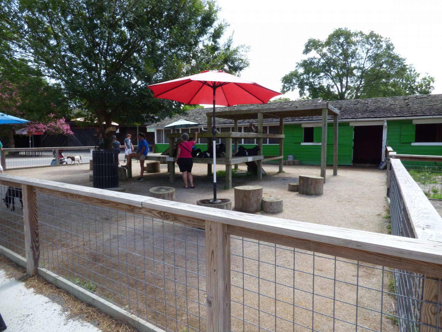 Kids Farm - Interactive Goat Area